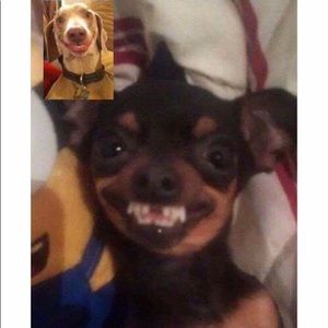 Meet your Posher, Veronika